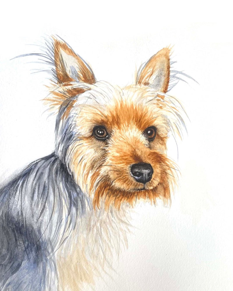 Artistic illustration of a small dog with a light brown coat and darker brown eyes on a white background.